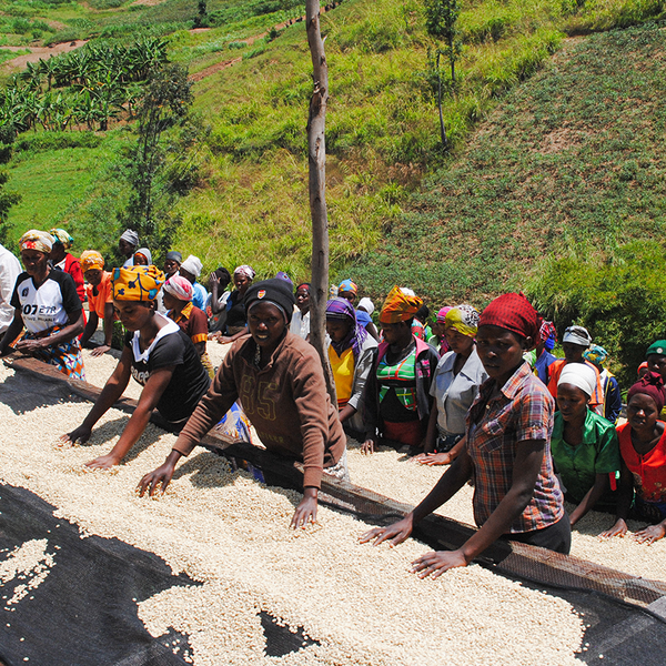 Photo of Kibaya Washed, Rwanda