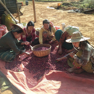 Padah Lin Washed, Myanmar