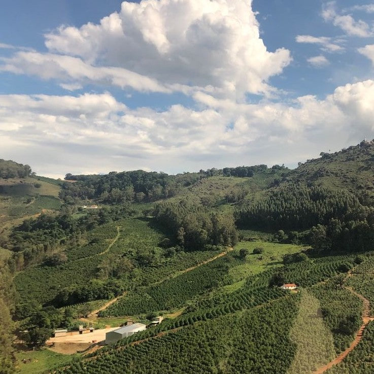 Seasonal Espresso - Barrinha Natural, Brazil