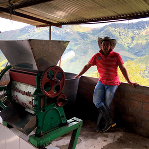 Risaralda Sugarcane Decaf, Colombia