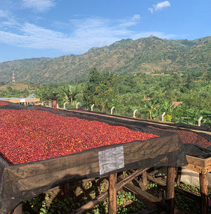 Kyondo Natural, Uganda