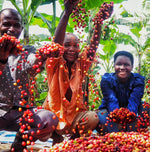 Kyondo Natural, Uganda