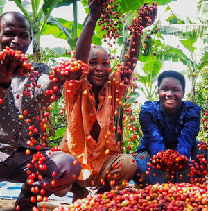 Kyondo Natural, Uganda